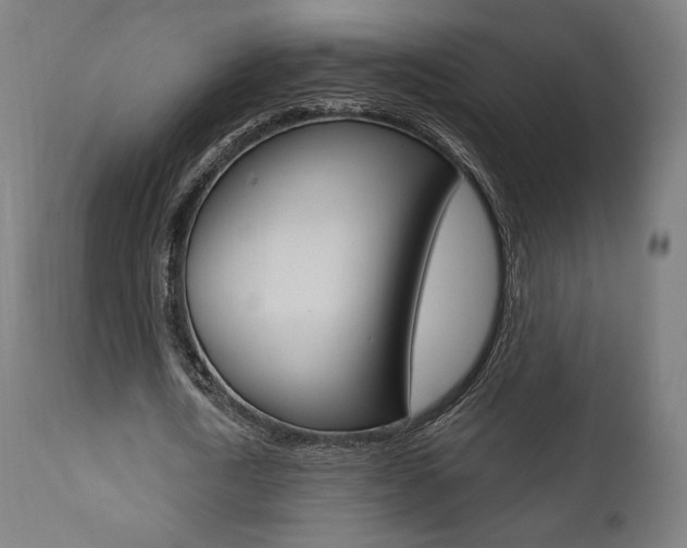 X0000112100722200908041111