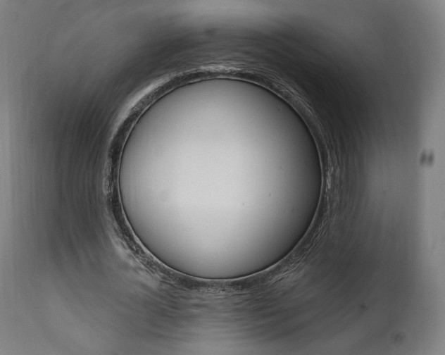 X0000112100724200908041112