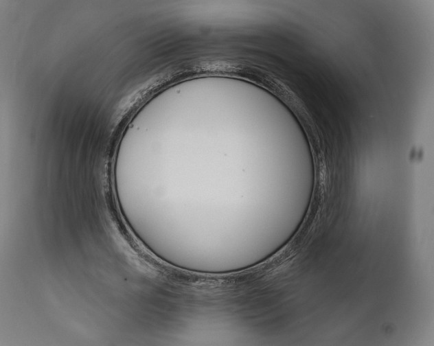 X0000112100725200908041112