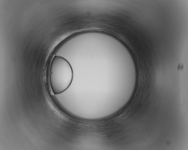 X0000112100726200908041112