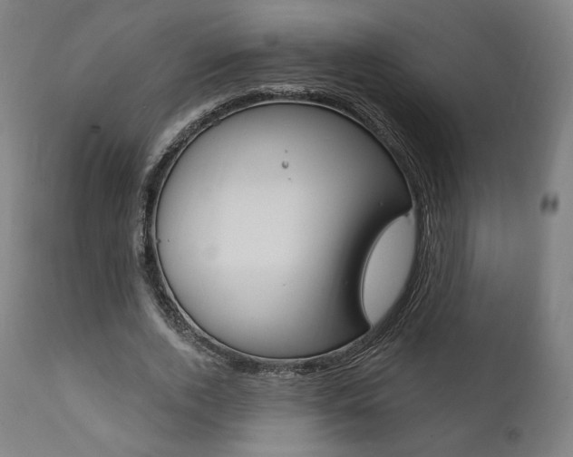 X0000112100728200908041112