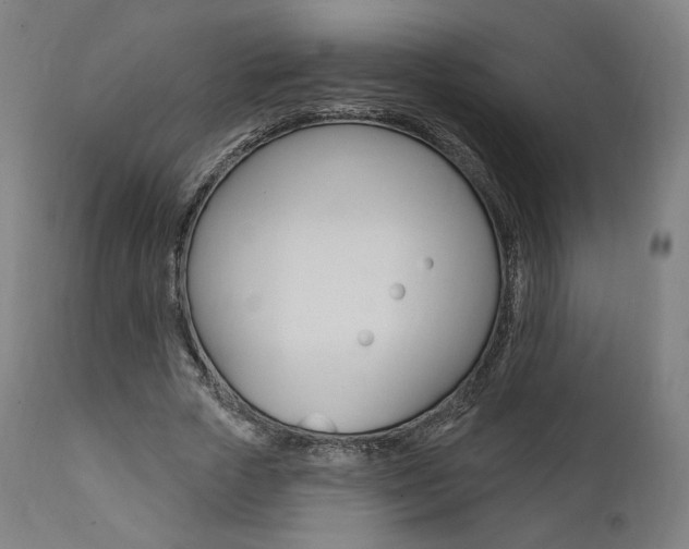 X0000112100729200908041112