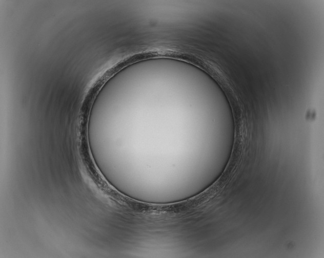 X0000112100730200908041112