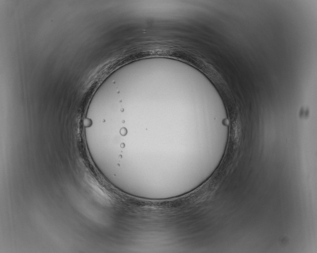 X0000112100733200908041112