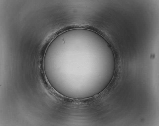 X0000112100736200908041112