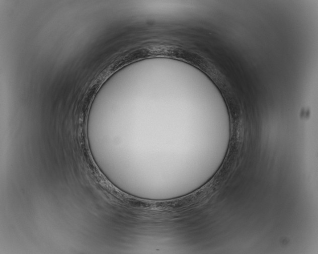 X0000112100737200908041112