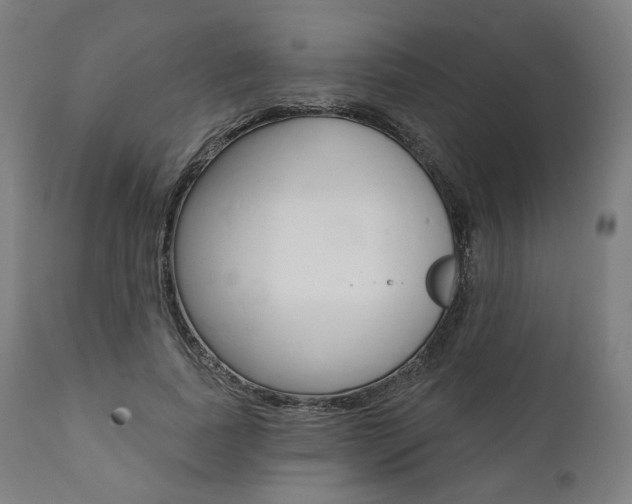 X0000112100739200908041112