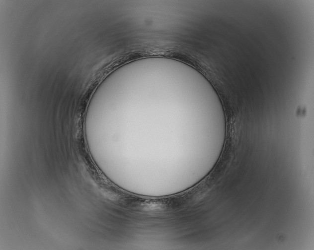 X0000112100741200908041112