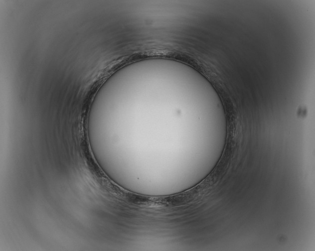 X0000112100743200908041112