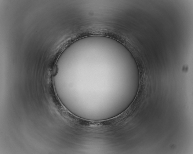 X0000112100744200908041112