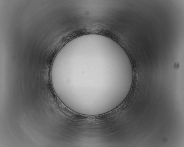 X0000112100745200908041112