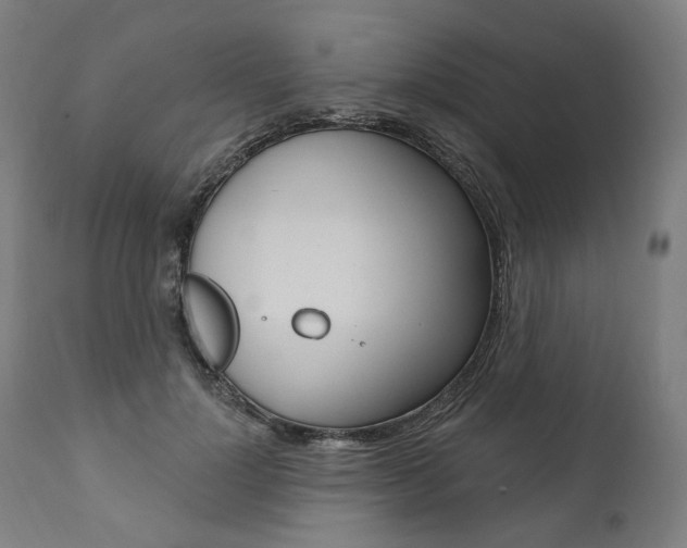 X0000112100748200908041112