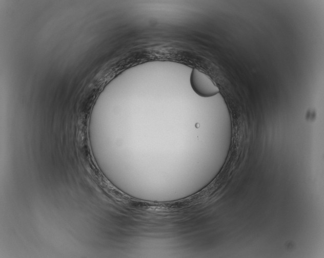X0000112100749200908041112