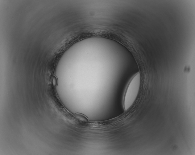 X0000112100750200908041112
