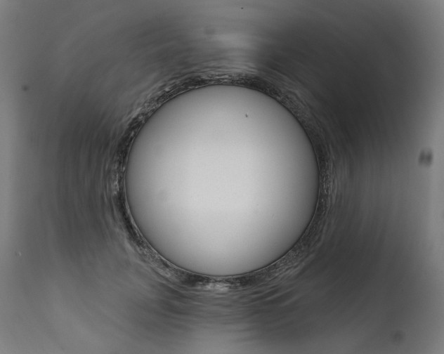X0000112100751200908041112