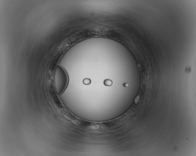 X0000112100752200908041112