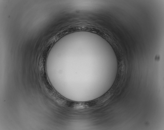 X0000112100754200908041112
