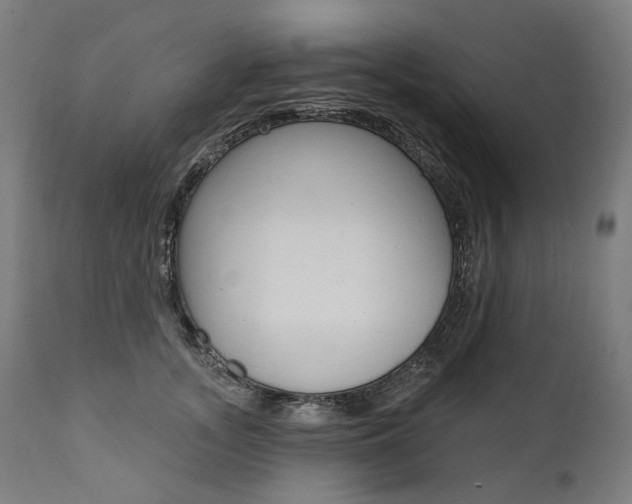 X0000112100755200908041112