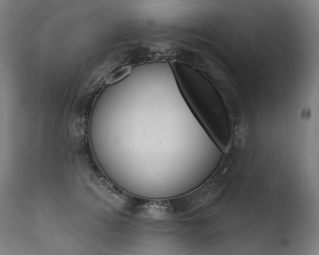 X0000112100756200908041112