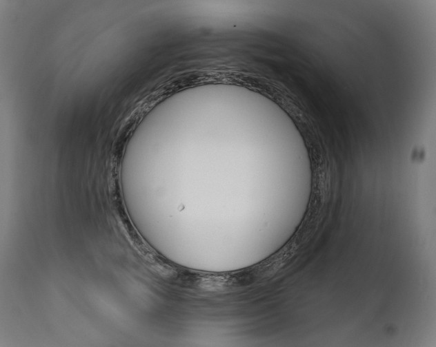 X0000112100757200908041112