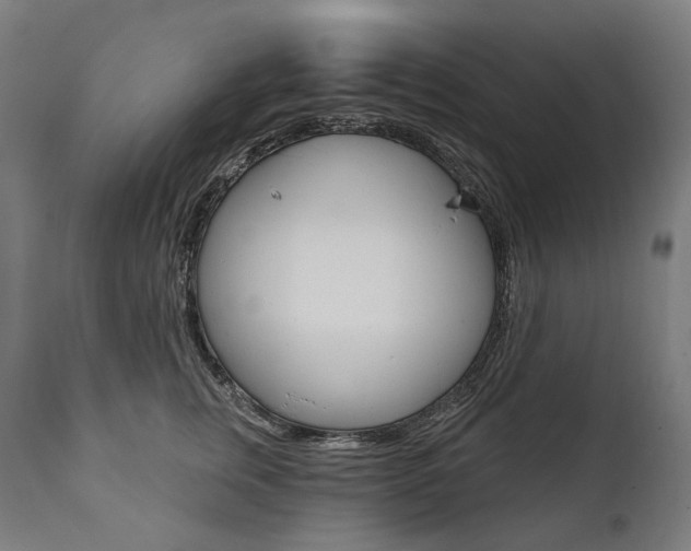 X0000112100759200908041112