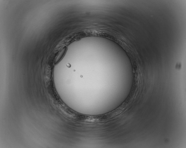 X0000112100760200908041112