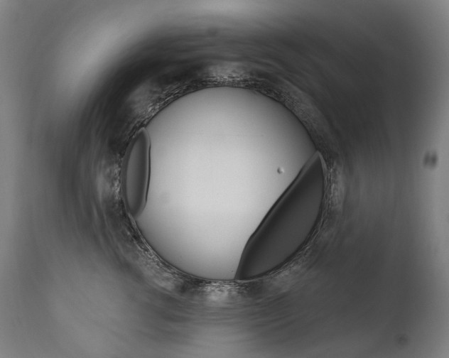 X0000112100762200908041112