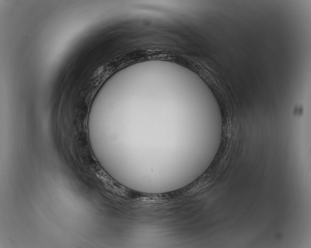 X0000112100763200908041112