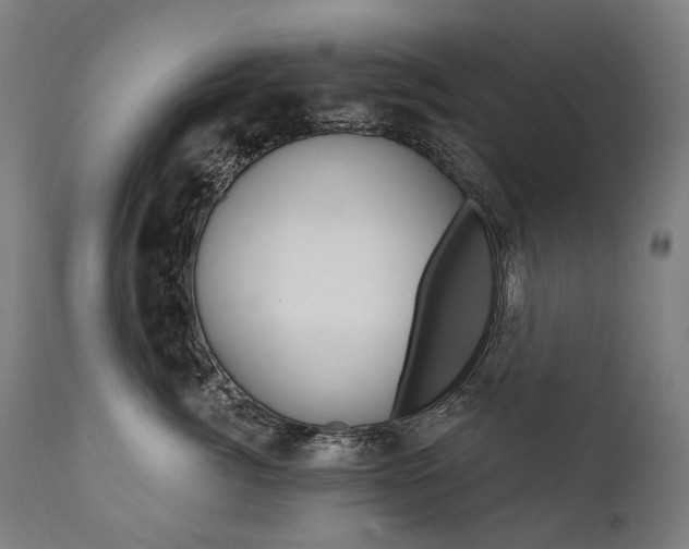 X0000112100764200908041112