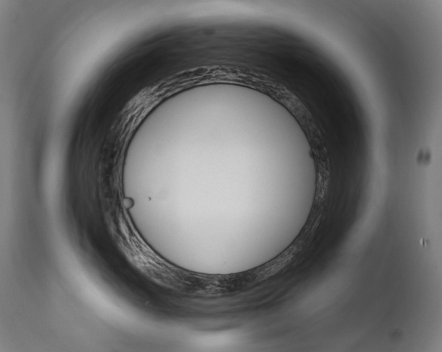 X0000112100765200908041112