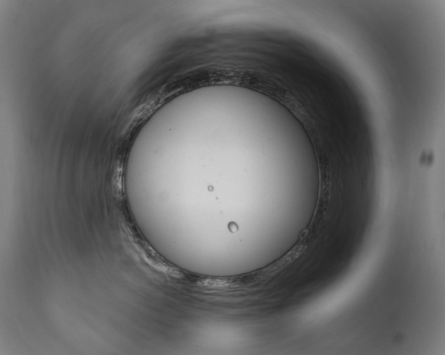 X0000112100766200908041112