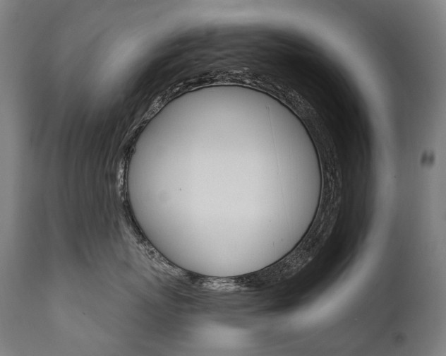 X0000112100767200908041112