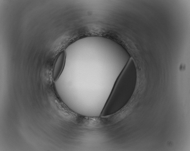 X0000112100768200908041112