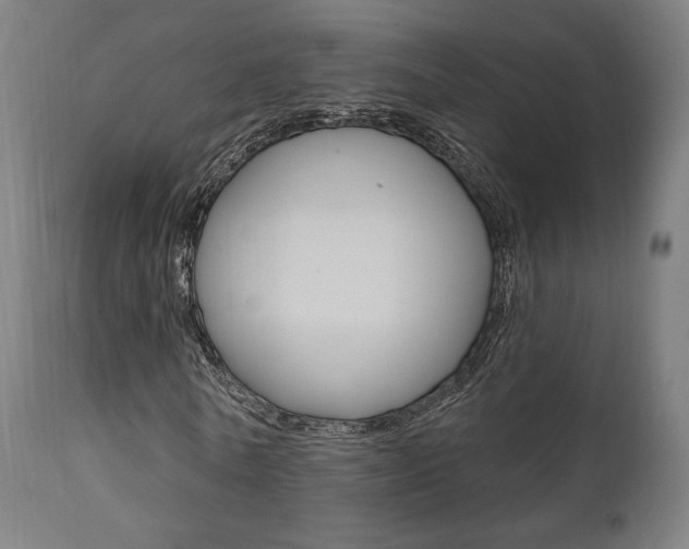 X0000112100770200908041111