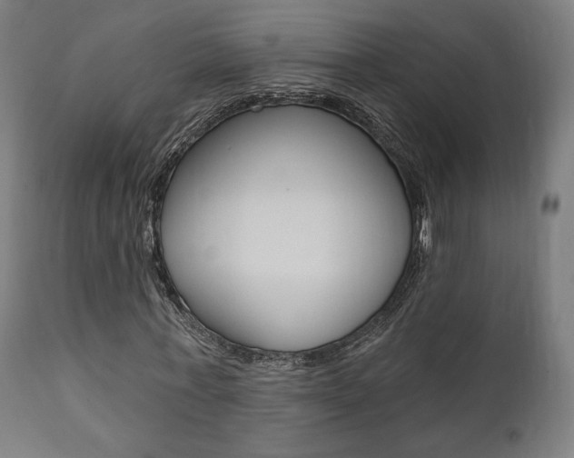 X0000112100771200908041111