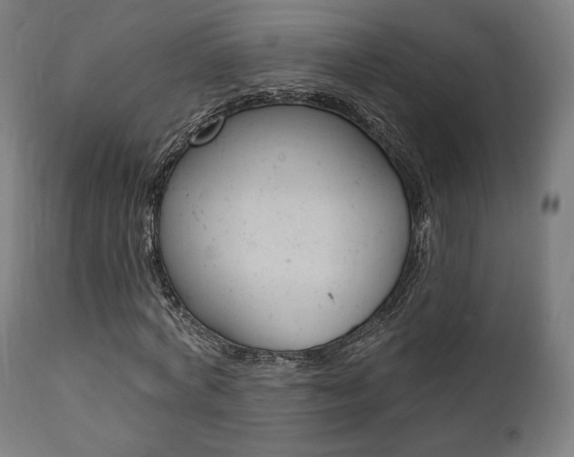 X0000112100772200908041111