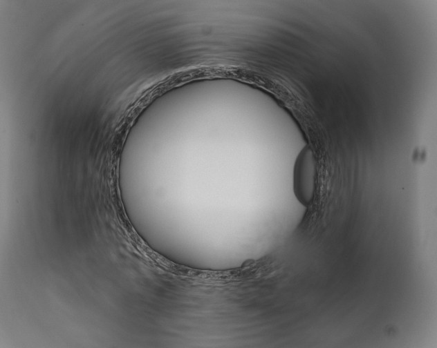 X0000112100773200908041111