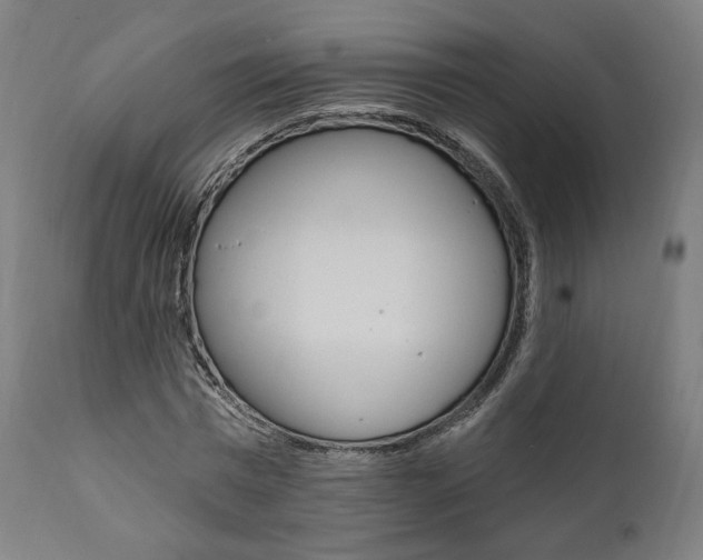 X0000112100777200908041111