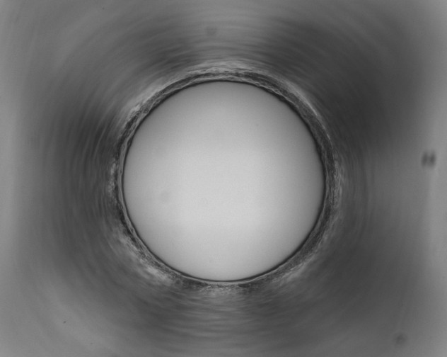 X0000112100778200908041111