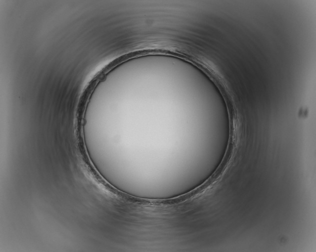 X0000112100780200908041111