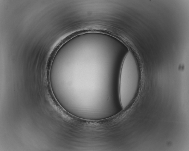 X0000112100784200908041111