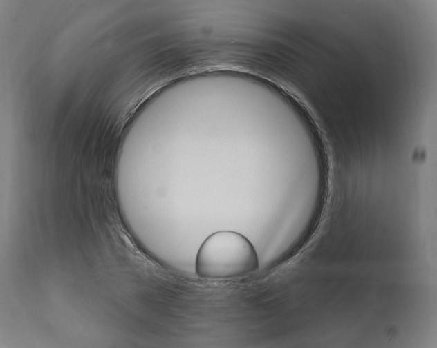 X0000112100785200908041111