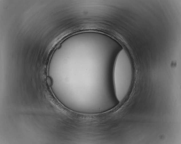 X0000112100786200908041111