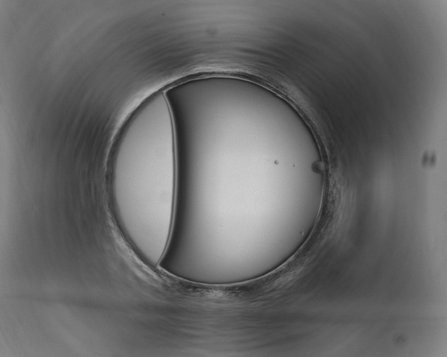 X0000112100787200908041111