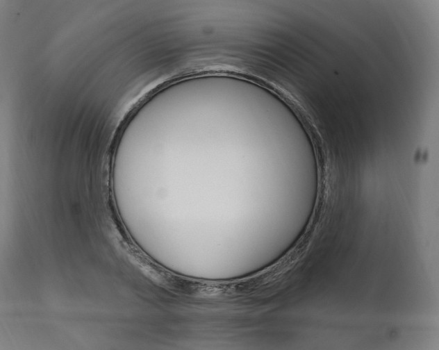 X0000112100790200908041111