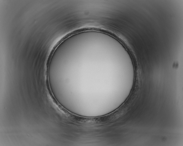 X0000112100791200908041111