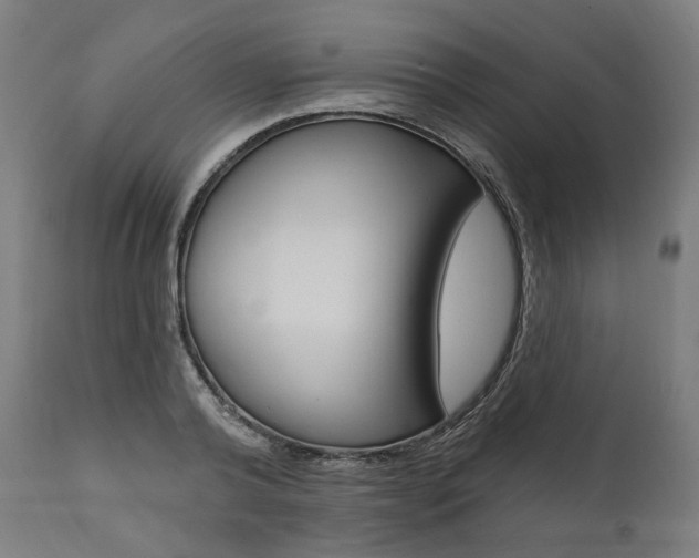 X0000112100792200908041111