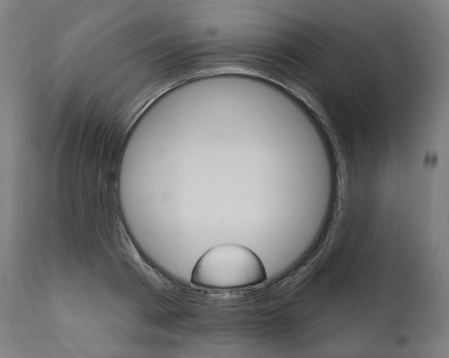 X0000112100793200908041111