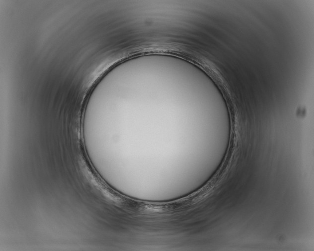 X0000112100794200908041111
