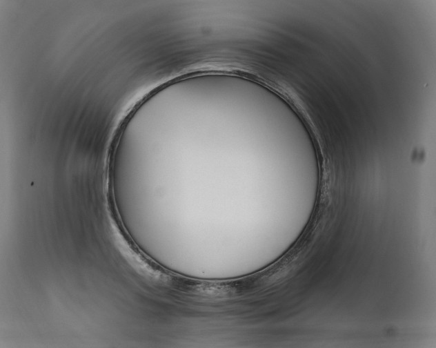 X0000112100795200908041111